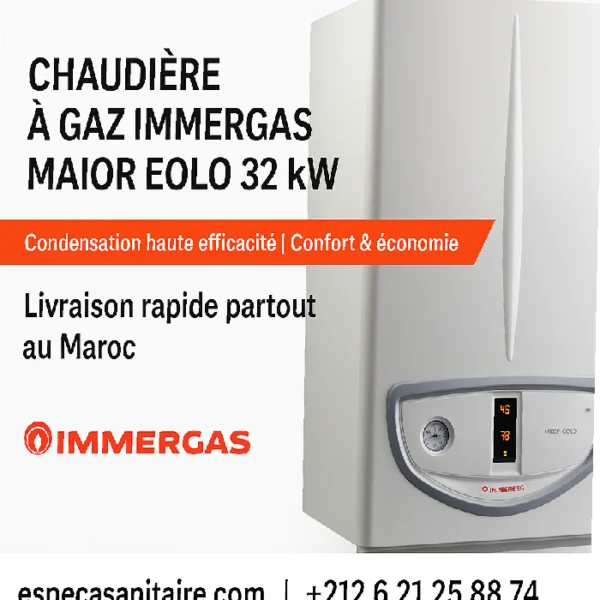 Chaudiere a gaz immergas maior eolo 32kw