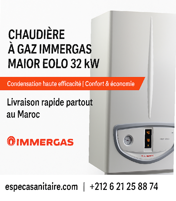 Chaudiere a gaz immergas maior eolo 32kw