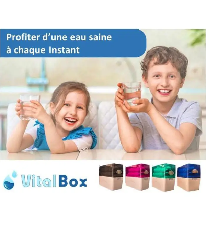 Filtre osmoseur Inverse 6 étapes VITALBOX